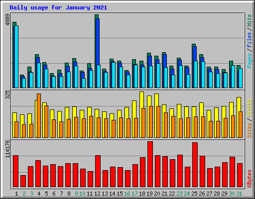Daily usage for January 2021