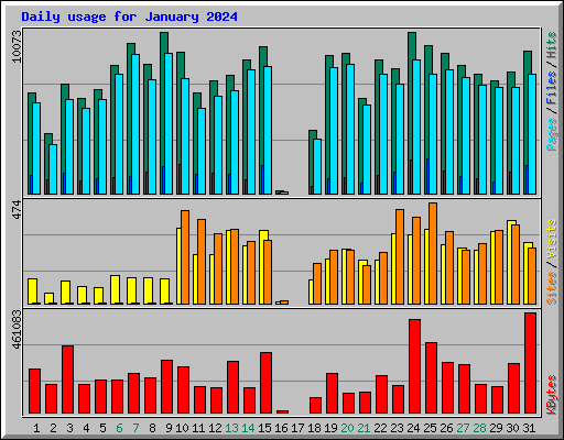 Daily usage for January 2024