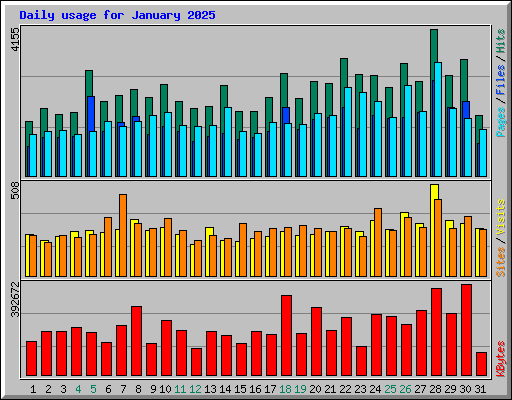Daily usage for January 2025