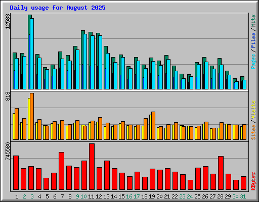 Daily usage for August 2025