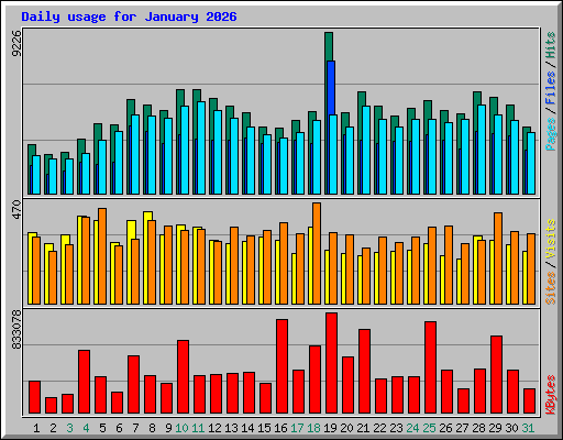 Daily usage for January 2026