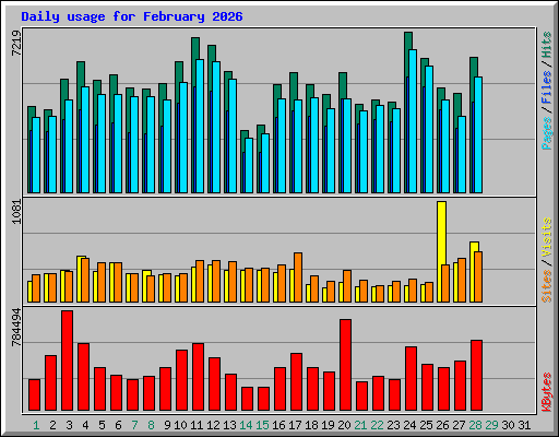 Daily usage for February 2026