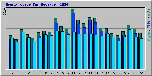 Hourly usage for December 2020