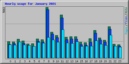 Hourly usage for January 2021
