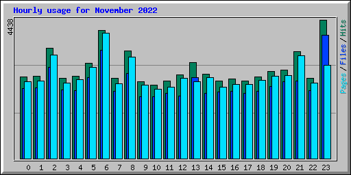 Hourly usage for November 2022