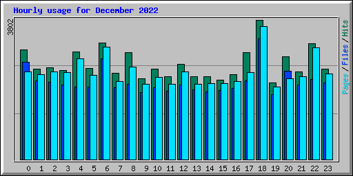 Hourly usage for December 2022