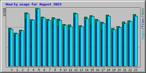 Hourly usage for August 2023