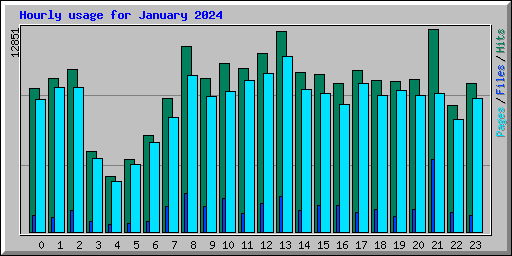Hourly usage for January 2024
