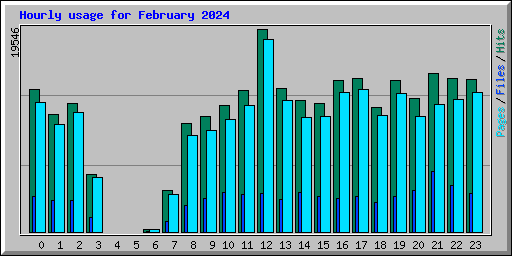 Hourly usage for February 2024