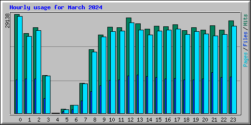 Hourly usage for March 2024