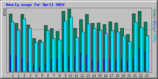Hourly usage for April 2024
