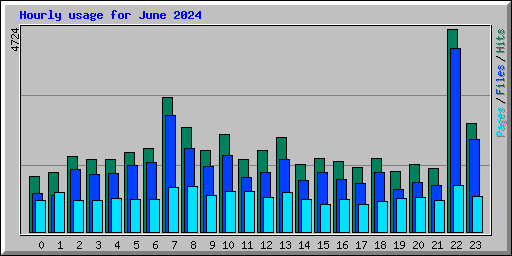 Hourly usage for June 2024