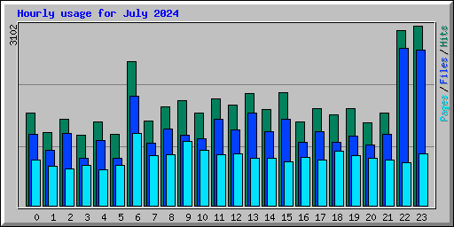 Hourly usage for July 2024