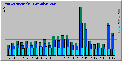 Hourly usage for September 2024