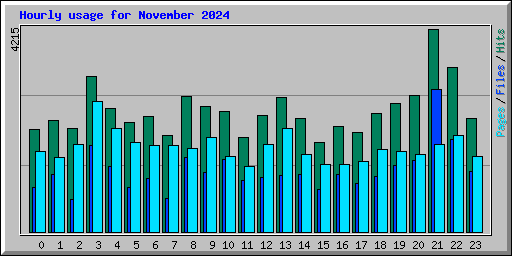 Hourly usage for November 2024