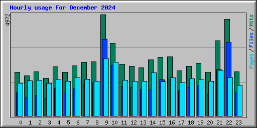 Hourly usage for December 2024