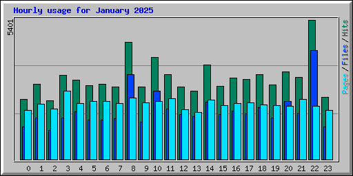 Hourly usage for January 2025