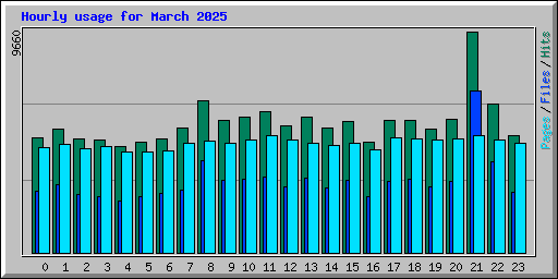 Hourly usage for March 2025