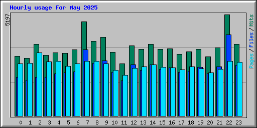 Hourly usage for May 2025