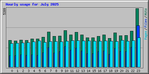Hourly usage for July 2025