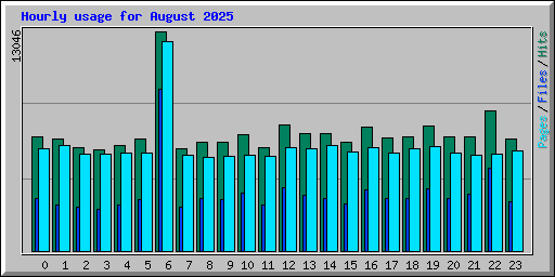 Hourly usage for August 2025