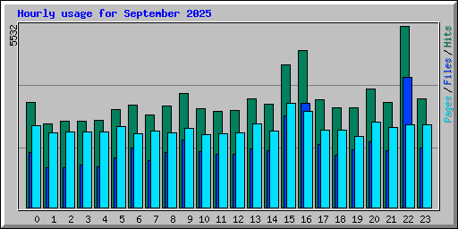 Hourly usage for September 2025