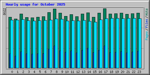 Hourly usage for October 2025