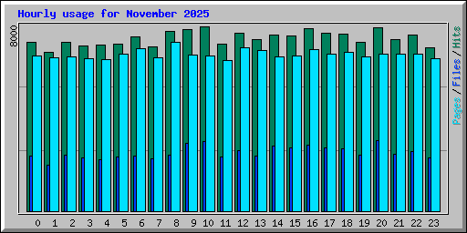 Hourly usage for November 2025