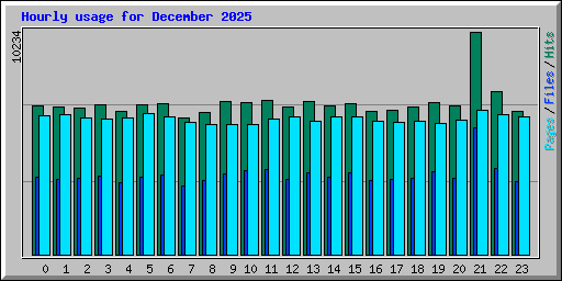 Hourly usage for December 2025