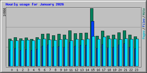 Hourly usage for January 2026