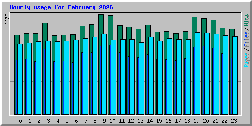 Hourly usage for February 2026